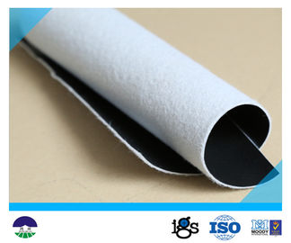 Drainage Composite Geotextile Light Weight For Lake Dike / 6m Width