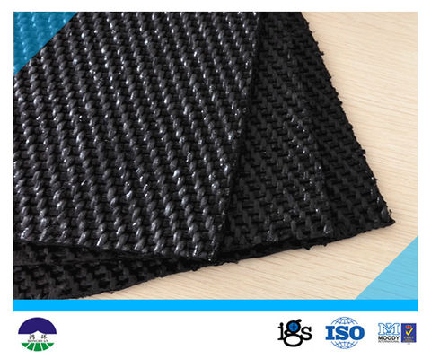 105/84kN/m PP Monofilament Woven Geotextile For geotextile tube